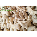 Chinese Dried Ginger whole